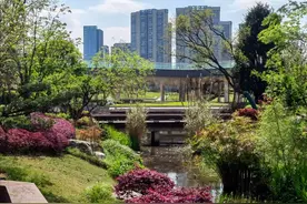 成都三环最大公园集群再添一座高颜值公园图片