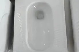 大便器的选择很重要图片