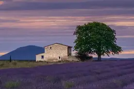 别人不爱你，就是因为你没有价值图片