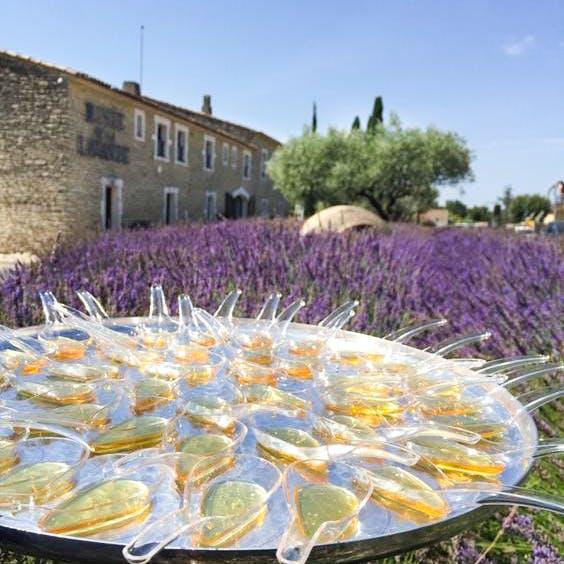 普罗旺斯薰衣草，法国——技术+营销