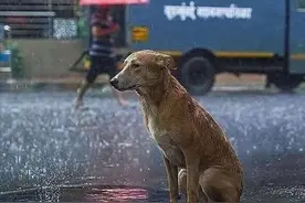 吻女朋友真的可以吻到一个多小时吗？图片