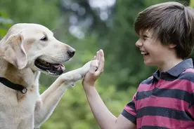 狗狗认主的7个表现，家里多个人，它只认一个主人哦图片