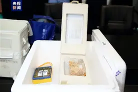 神十五带了这个！真让大家没想到：3名航天员从空间站带回一种虫图片