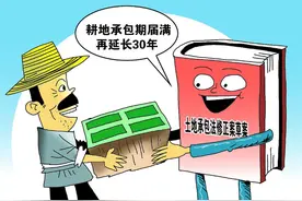 自家土地被违法强占，通过什么渠道来维权？图片