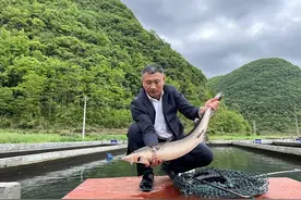 贵州鲟鱼8小时抵达越南——贵州商储集团探索成功特色黔货“走出去”路径图片