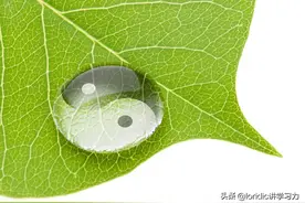 什么是阴阳，阴阳的内涵外延，阴阳变化的7个基本规律图片