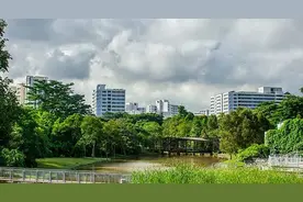 移民新加坡需要什么条件，最新政策2022详解图片