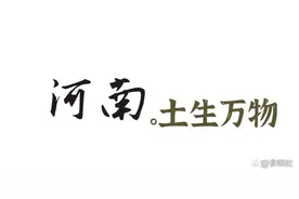 这就是我爱「河南人」的理由图片