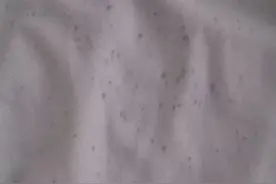 衣服发霉霉斑怎么清洗？图片