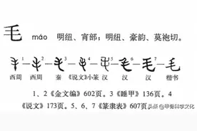 【甲骨文化】毛，纠缠两个量子的技艺。图片