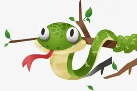 捡“毒蛇”回家，剁掉蛇头喷射毒液，男子差点失明，蛇头能活多久图片