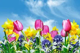 烧香祭拜时，烧几根合适？3根、6根、9根各有什么意义？图片