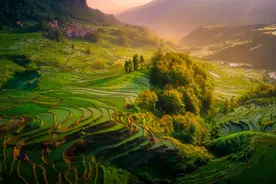 脑脊液漏规范化管理中国专家共识图片