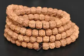 金刚菩提为什么要分大小？随便买不行吗？大小到底有什么区别？图片