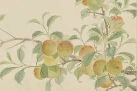 洛阳方言，你能看懂几个？图片