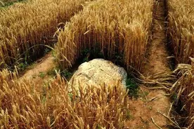 静山：全球最矮的山峰，高度仅有0.6米，为何至今无人敢攀登？图片