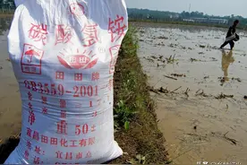 碳酸氢铵氮含量不如尿素，为什么依然有市场？它有什么作用与功效图片