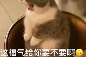 分手后索要恋爱期间的“亲密付”款项，为何被法院驳回？图片