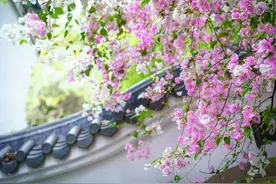 酷狗、酷我、QQ音乐、网易云音乐、虾米、天天动听哪个版权好？图片