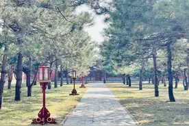 五一去哪玩？捕捉天坛公园春季最美时刻，踏青赏花欢乐多图片