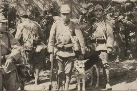 1939年，日寇将一个八路军扔进了狼狗池，他却让数十条狼狗臣服图片