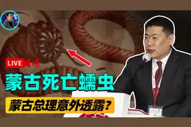 沙漠巨蟒“死亡蠕虫”！蒙古总理意外透露，找到它就找到了成陵？图片