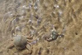 长春出发3天2夜三口之家鲅鱼圈之旅图片