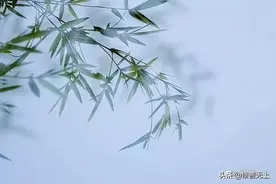 南怀瑾：这才是真正重要的“戒律”，可是我们每天都在犯图片