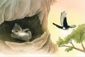 “寒号鸟”不是鸟，而是“鼠”！这个答案有没有让你感到意外？图片