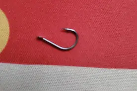 钓鱼笔记｜各种钩型的对应的钓重及线号钓重图片