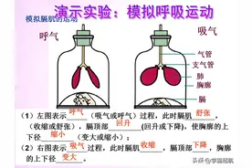 七年级下册生物，核心其实就是这人体八大系统，吃透了考试必上90图片