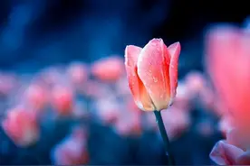 当你被人看不起时，牢记三句话，就是最好的回击图片