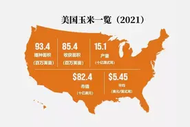 2022年世界玉米产量与相关数据图片