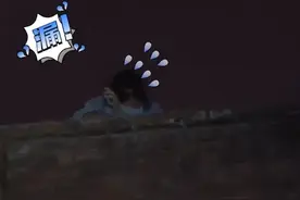 湖南株洲一女子抄近路半夜爬墙回家崴脚被困，消防赶赴救援图片