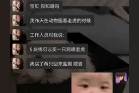 动物园的老虎和饲养员对了一晚上的账图片