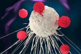 人体必需的元素硒,可以杀死癌细胞?3种食物吃好了,不怕缺硒图片