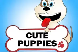 狗狗的复仇图片