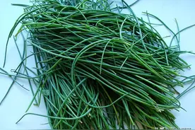 春天沙葱就是宝，开胃消食，分享5种做法，照着做家人有口福了图片