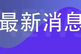 今日头条的免费图库找不到？原来问题在这图片