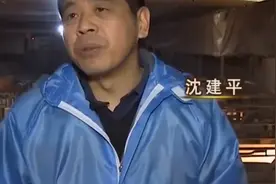 男子用新理念养猪，从猪粪中掏出千万，一万头猪只用四人管理图片