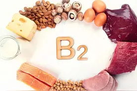 你了解B族维生素吗？——儿科专家带你认识维生素B2图片