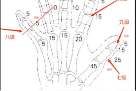 手指工伤级别一览表图片
