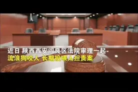 流浪狗咬伤人长期投喂者被判担责图片