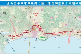 平湖南到上海南50分钟，浦东到虹桥40分钟，长三角市域铁路“上新”图片