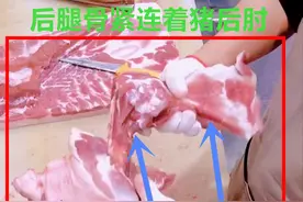 5张图，教你认识猪身不同部位的骨头，从此，菜市场买骨头不迷糊图片