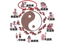 自测一下！你是“湿热体质”吗？体质“湿热”易得这些病图片