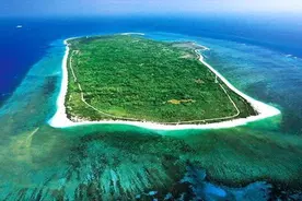 西沙东岛发现大批“野牛”群，该岛远离大陆，“野牛”从何而来？图片