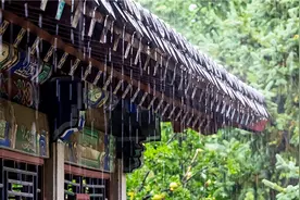 夏天是个拟声词，值得你用心聆听图片