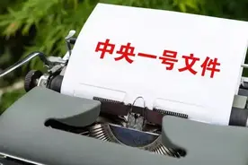 新生代的农民没分地，田地可打乱重新分吗？中央一号文件有说明图片