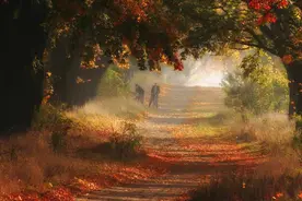 心理学：把“谢谢”挂在嘴边的人，无非是这3种人图片